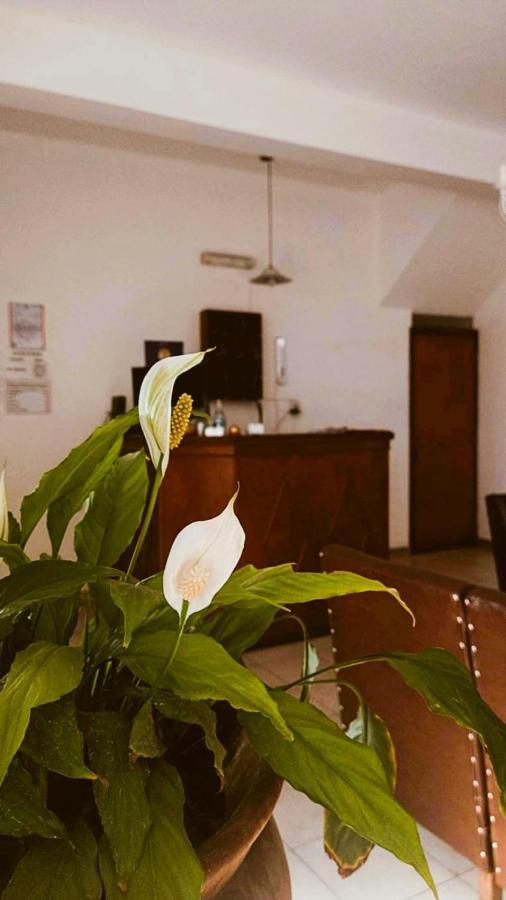Hostal Tilian Salta Exterior foto